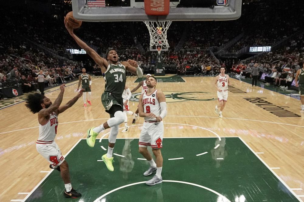 的举动揭示 的举动揭示